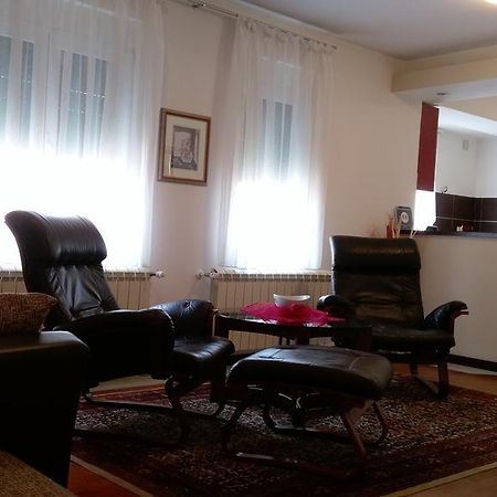 Apartment Krsmanovic Arandjelovac Exterior foto